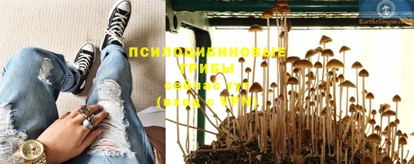 спайс Белокуриха