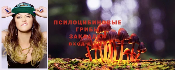спайс Белокуриха