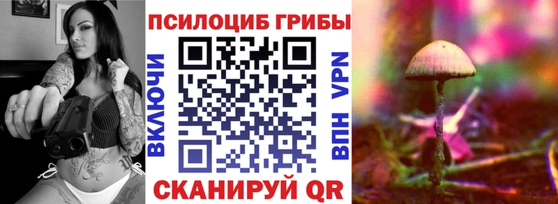 Псилоцибиновые грибы ЛСД  Курильск 
